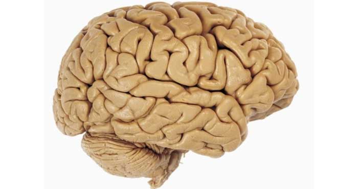 Последствия сотрясения головного мозга