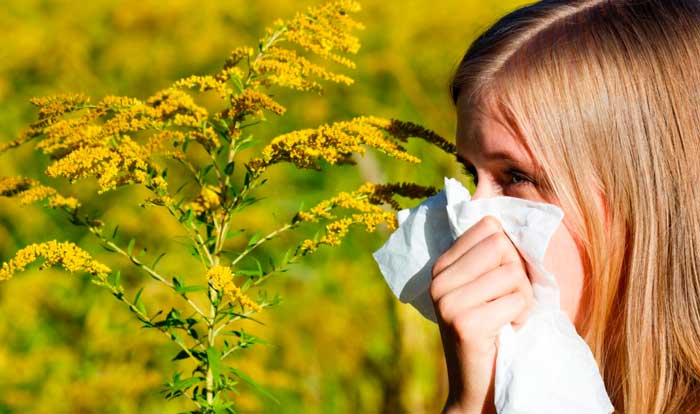 аллергия на травы